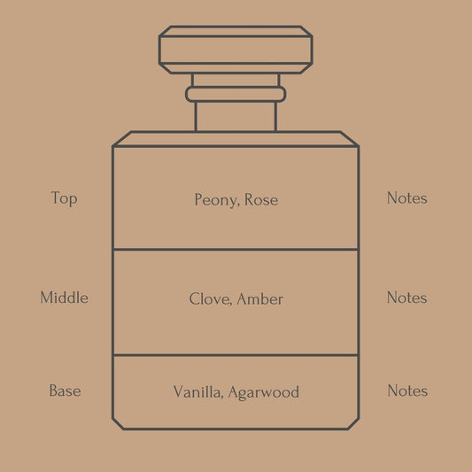 Perfume bottle diagram with fragrance notes on a beige background