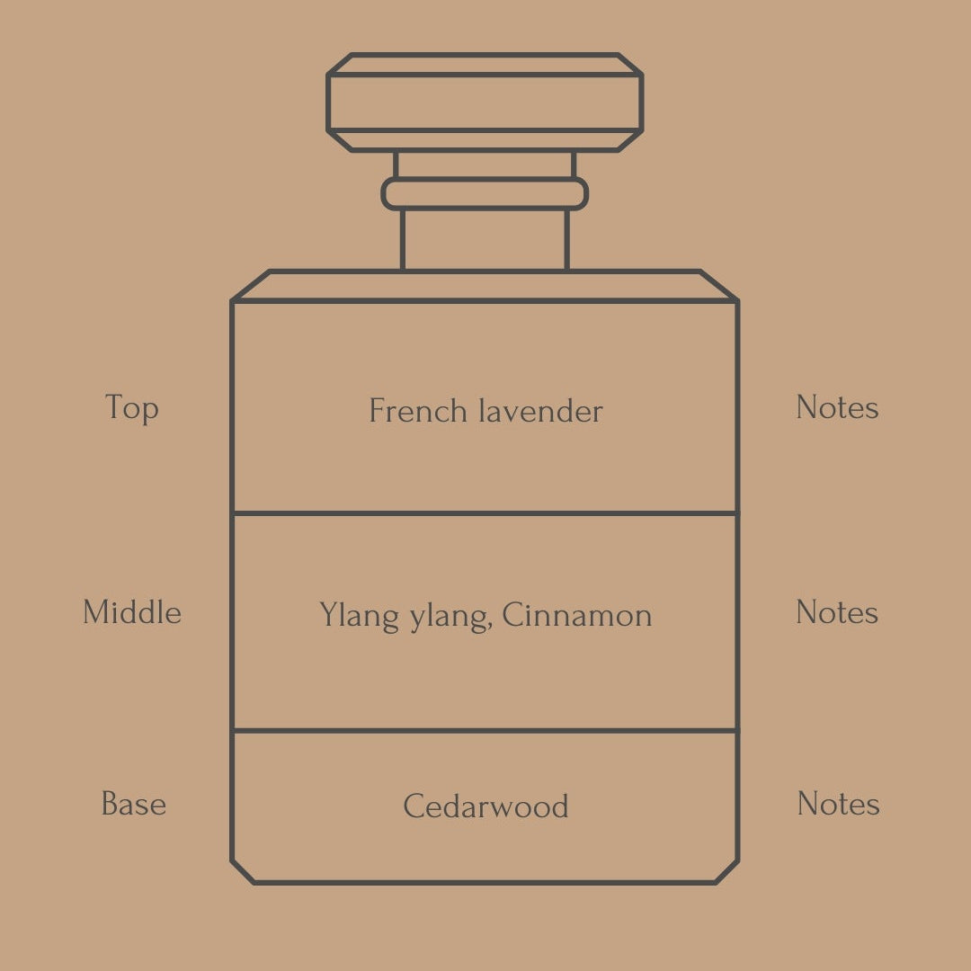 Perfume bottle diagram with fragrance notes for top, middle, and base layers on a beige background