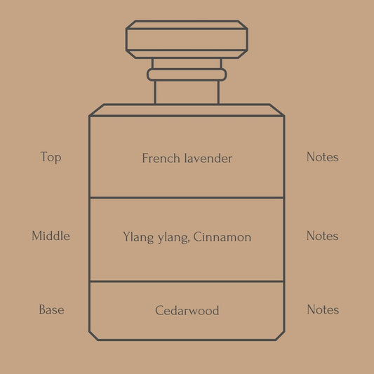 Perfume bottle diagram with fragrance notes for top, middle, and base layers on a beige background