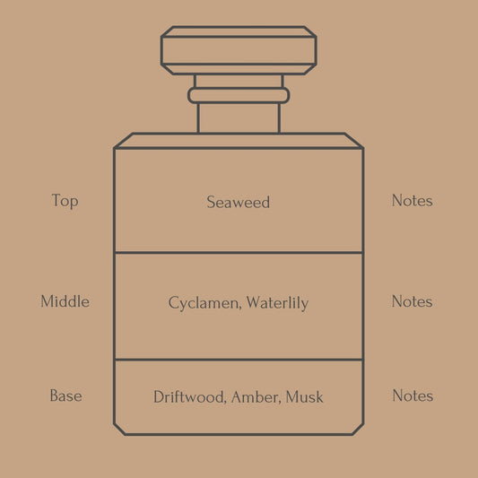 Perfume bottle diagram with fragrance notes for top, middle, and base layers on a beige background