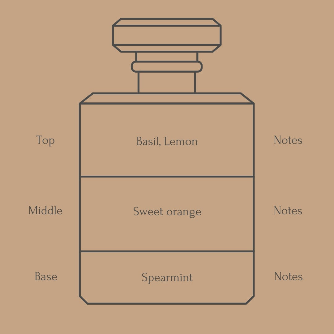 Perfume bottle diagram with fragrance notes for top, middle, and base layers on a beige background