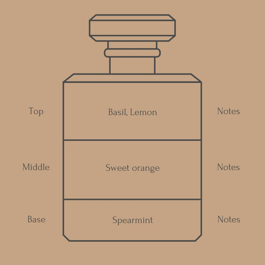Perfume bottle diagram with fragrance notes for top, middle, and base layers on a beige background