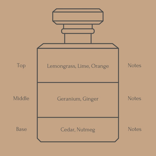 Perfume bottle diagram with fragrance notes for top, middle, and base layers on a beige background