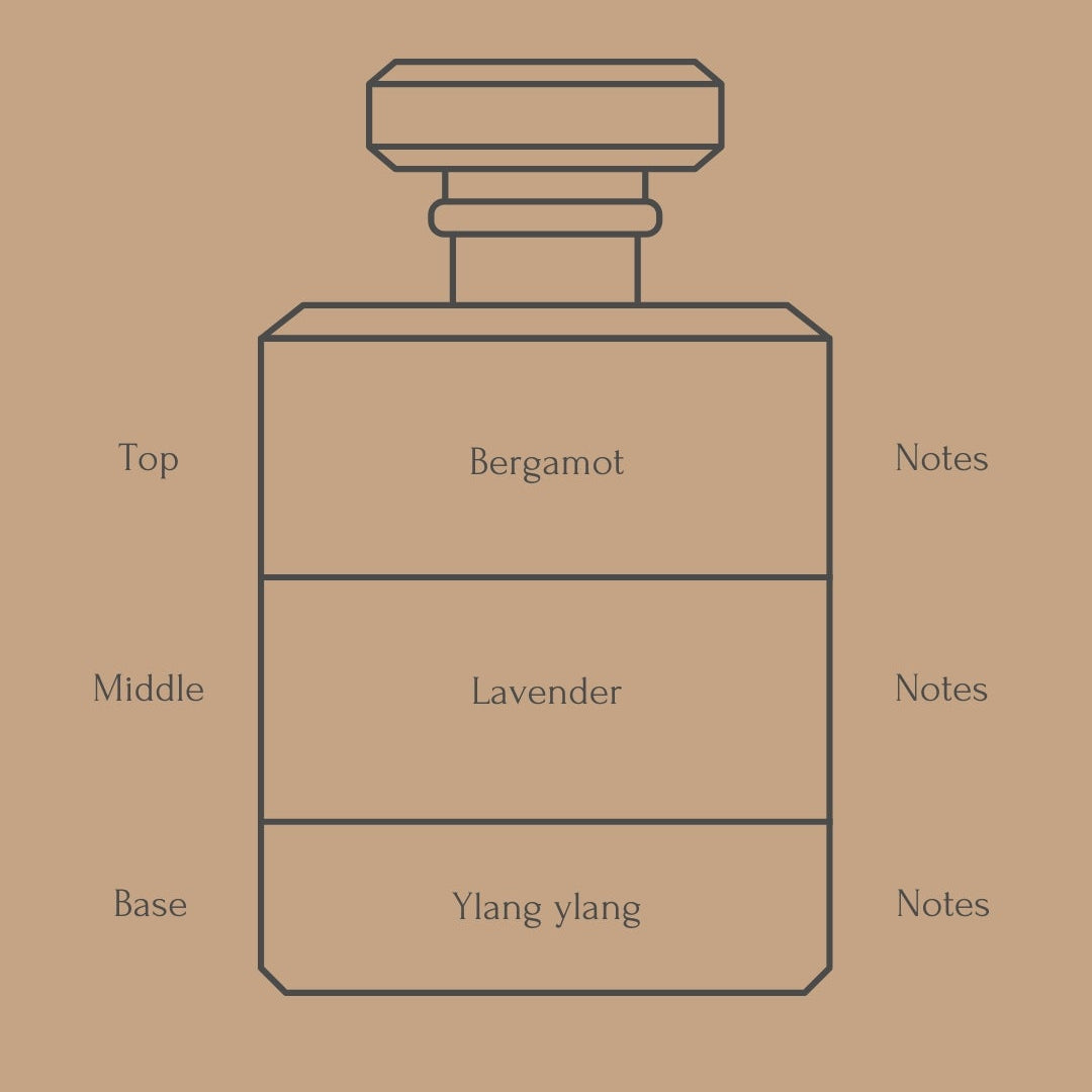 Perfume bottle diagram with fragrance notes for top, middle, and base layers on a beige background