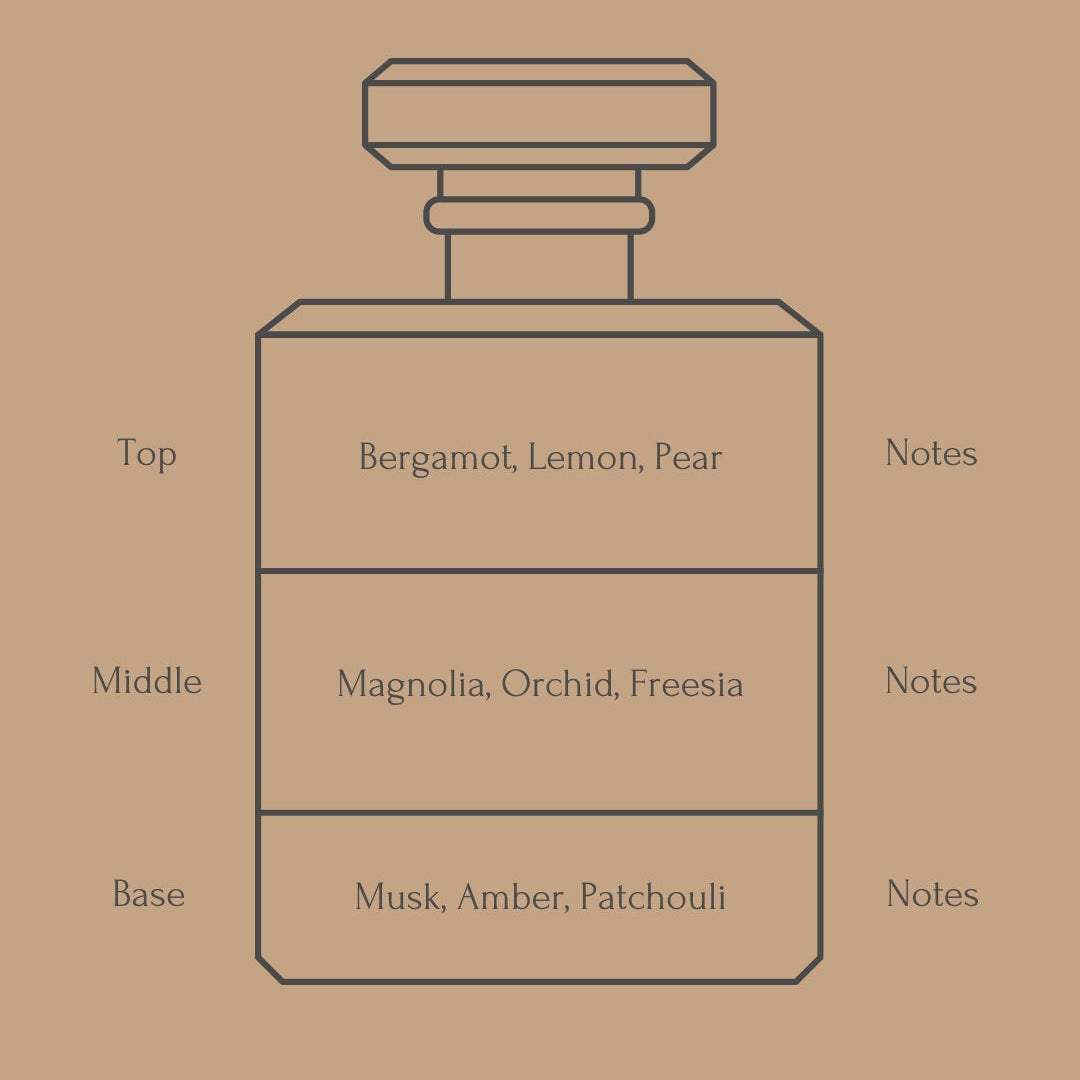 Perfume bottle diagram with fragrance notes on a beige background