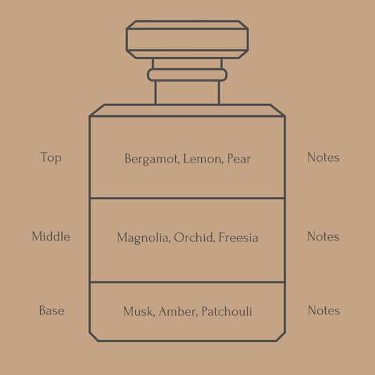 Perfume bottle diagram with fragrance notes on a beige background