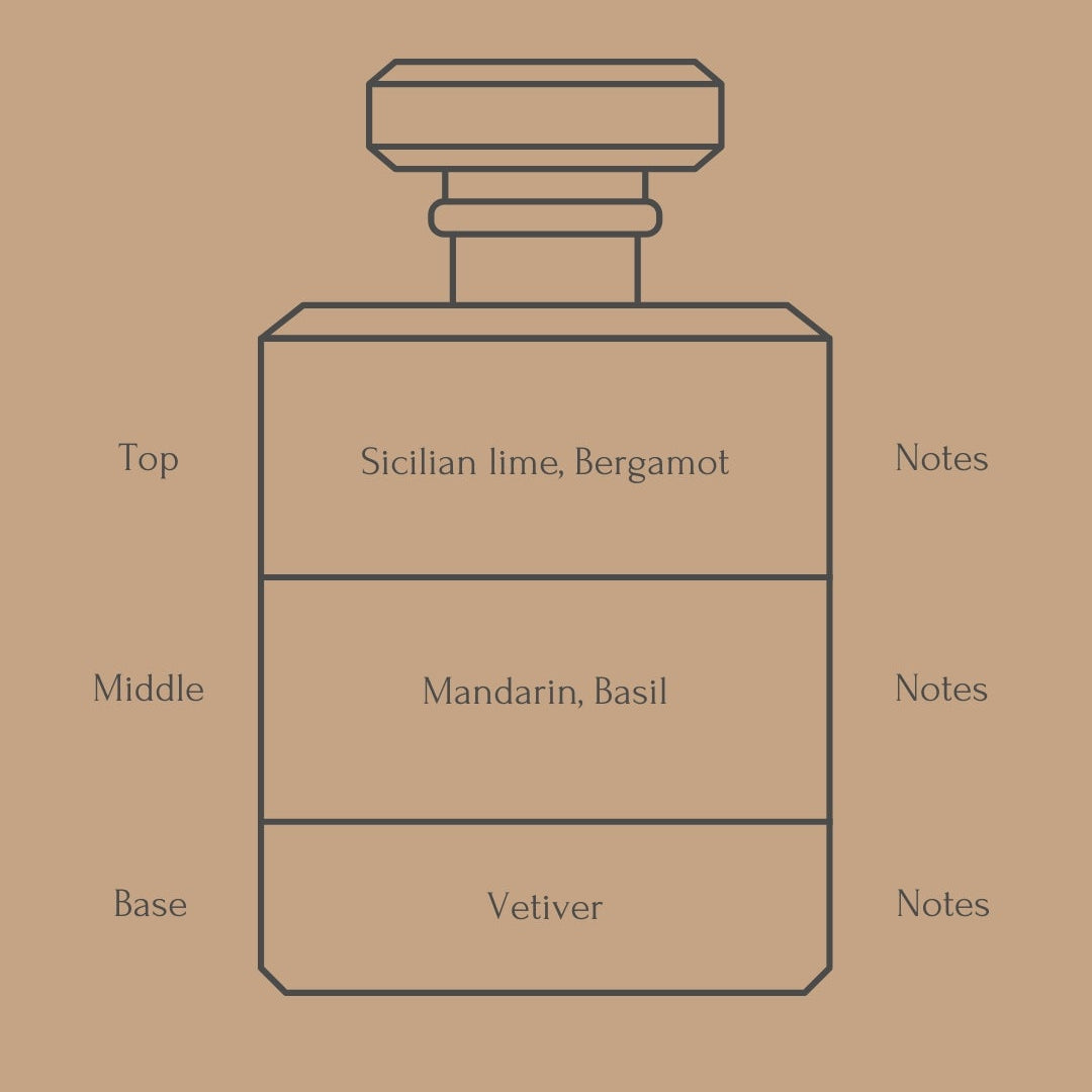Perfume bottle diagram with fragrance notes for top, middle, and base layers on a beige background