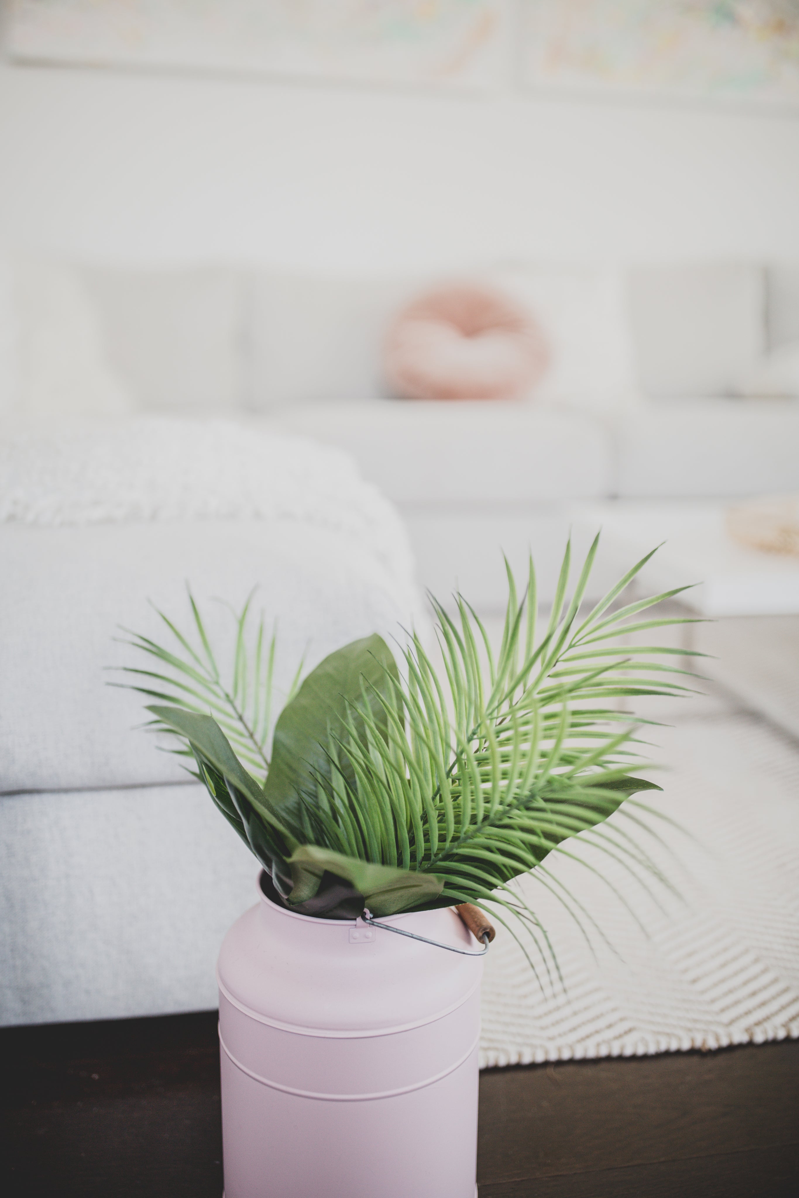 Plant in a cosy living room