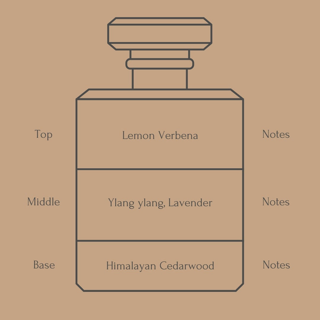 Perfume bottle diagram with fragrance notes for top, middle, and base layers on a beige background