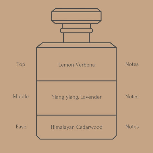 Perfume bottle diagram with fragrance notes for top, middle, and base layers on a beige background