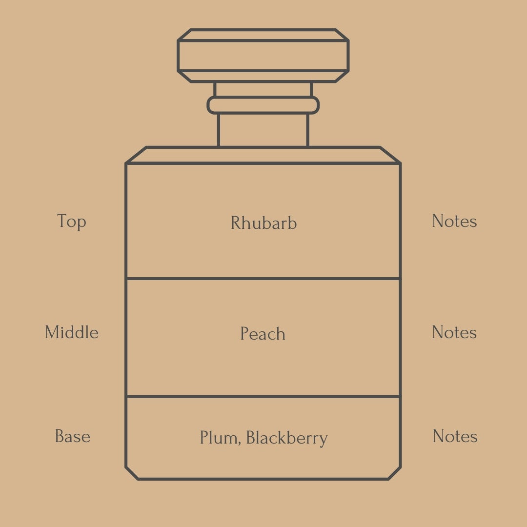 Perfume bottle diagram with fragrance notes for top, middle, and base layers on a beige background