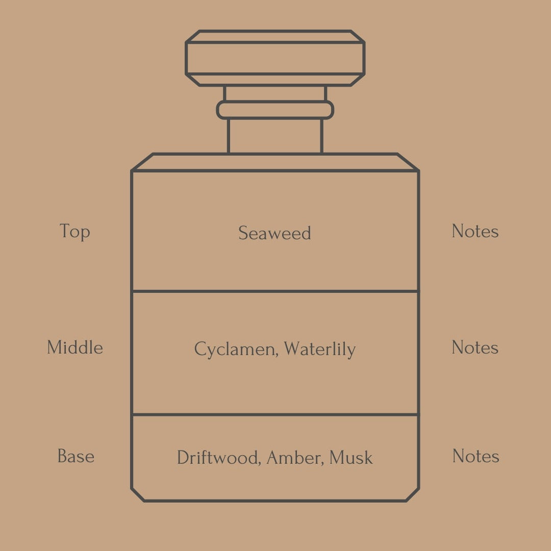 Perfume bottle diagram with fragrance notes for top, middle, and base layers on a beige background