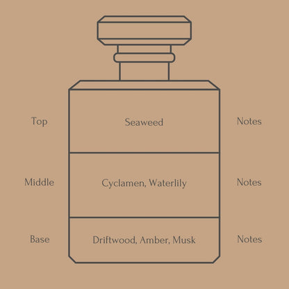 Perfume bottle diagram with fragrance notes for top, middle, and base layers on a beige background