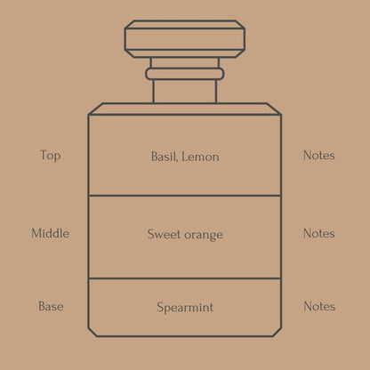 Perfume bottle diagram with fragrance notes for top, middle, and base layers on a beige background