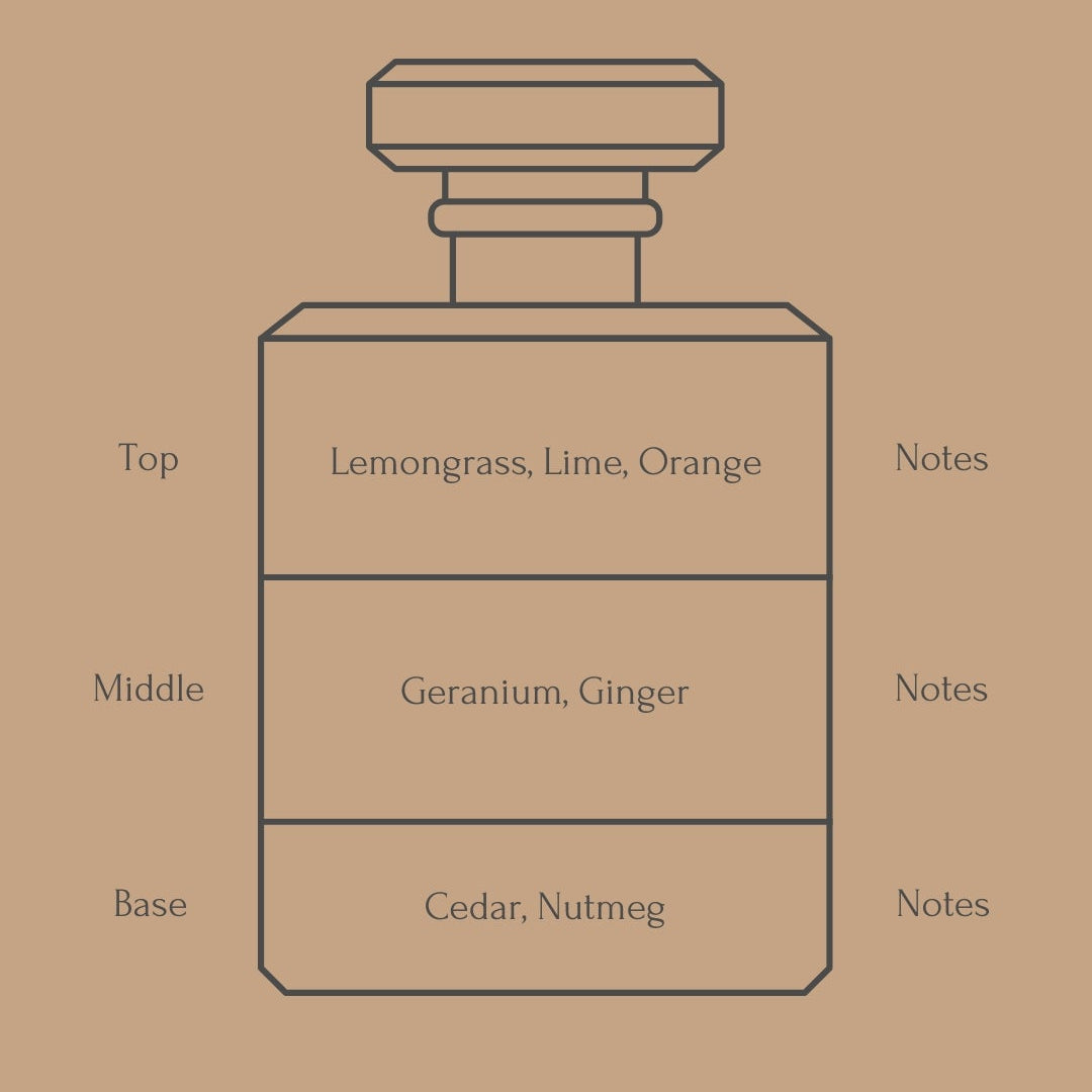 Perfume bottle diagram with fragrance notes for top, middle, and base layers on a beige background