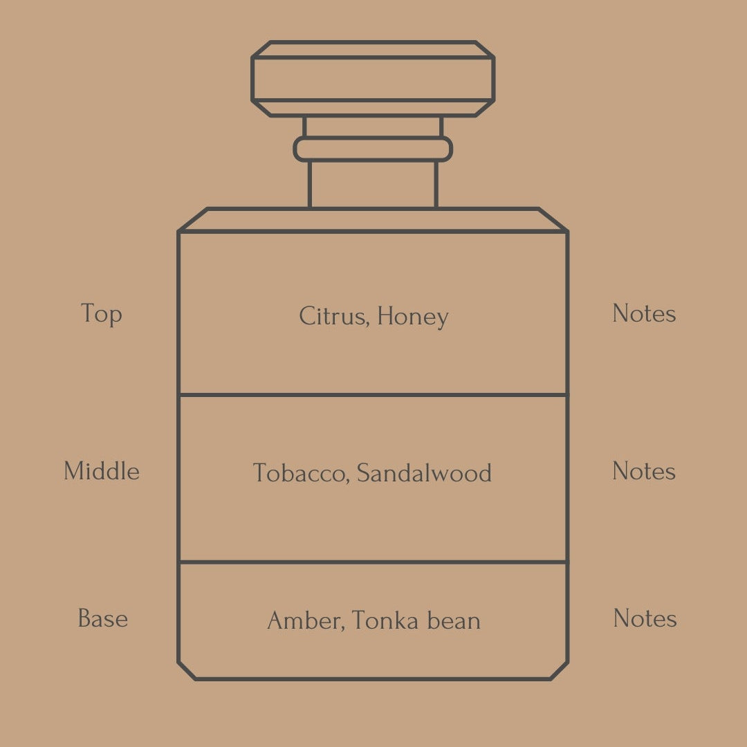 Perfume bottle diagram with fragrance notes for top, middle, and base layers on a beige background