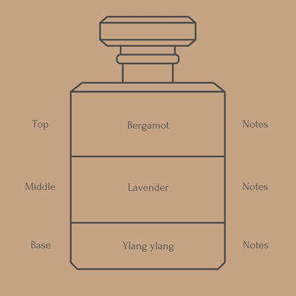 Perfume bottle diagram with fragrance notes for top, middle, and base layers on a beige background