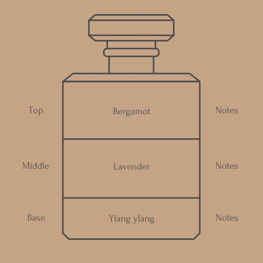 Perfume bottle diagram with fragrance notes for top, middle, and base layers on a beige background