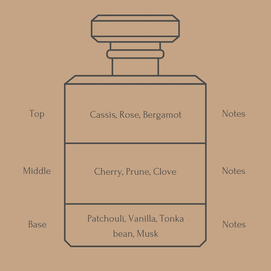 Perfume bottle diagram with fragrance notes for top, middle, and base layers on a beige background