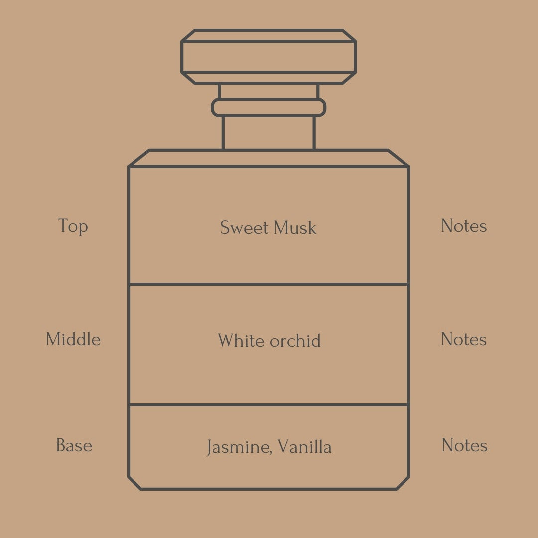 Perfume bottle diagram with fragrance notes for top, middle, and base layers on a beige background