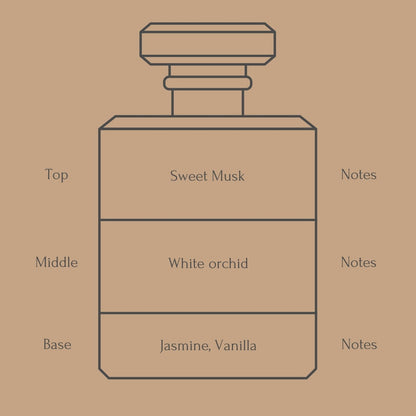 Perfume bottle diagram with fragrance notes for top, middle, and base layers on a beige background