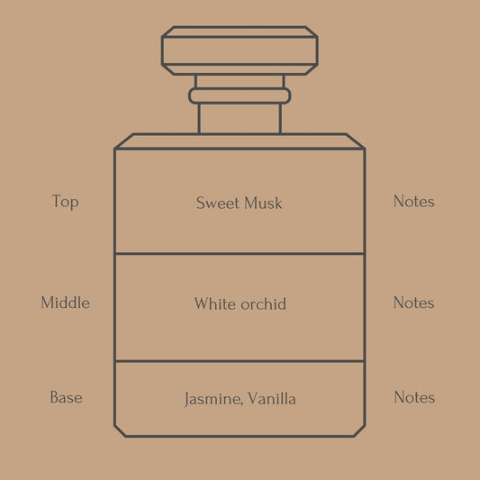 Perfume bottle diagram with fragrance notes for top, middle, and base layers on a beige background
